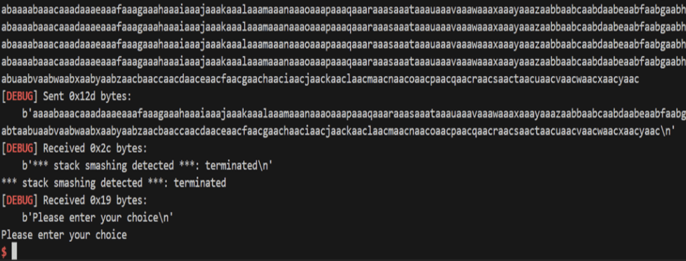 Stack smashing detected
